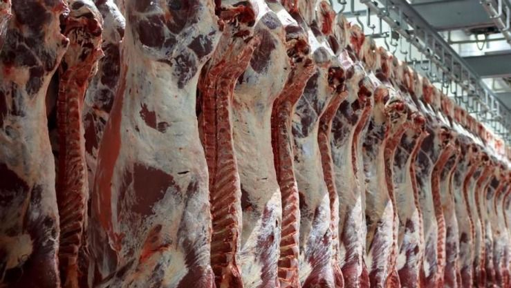 تحضيرا لشهر رمضان.. لقاء تنسيقي لتنظيم عملية استيراد اللحوم الحمراء والبيضاء