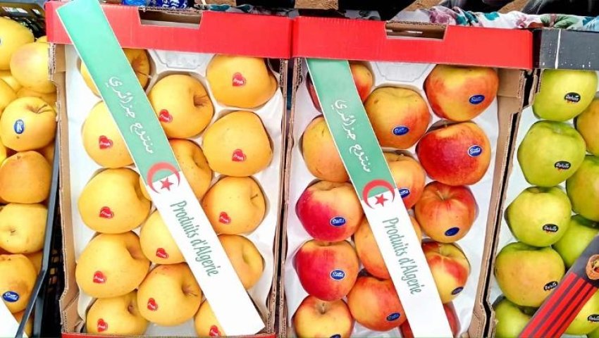 SPÉCULATION SUR LES POMMES L’État durcit le ton, le Conseil interprofessionnel se mobilise