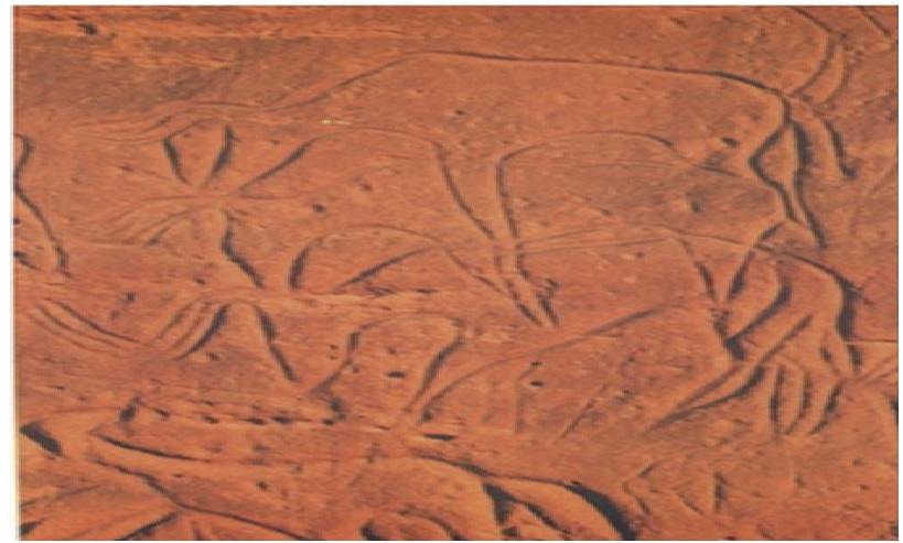 محطة النقش الصخري الكريمة