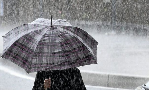 Des pluies orageuses sur plusieurs wilayas de l'Est du pays jusqu'à dimanche