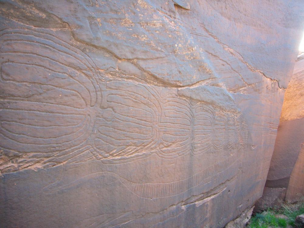 محطة النقش الصخري قارة الطالب ( العقرب العملاق)