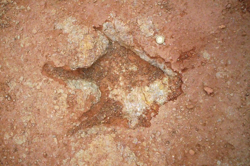 Traces de dinosaures