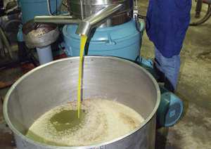 توقع إنتاج 4.8 مليون لتر زيت زيتون بالجلفة - الشعب أونلاين