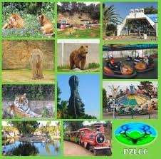 Algerie (Ben Aknoun/Alger) - Le Parc zoologique change de tutelle: Il sera géré par la wilaya