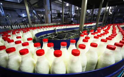 مصنع جديد لانتاج الحليب بالعاصمة شهر فيفري المقبل - الشعب أونلاين