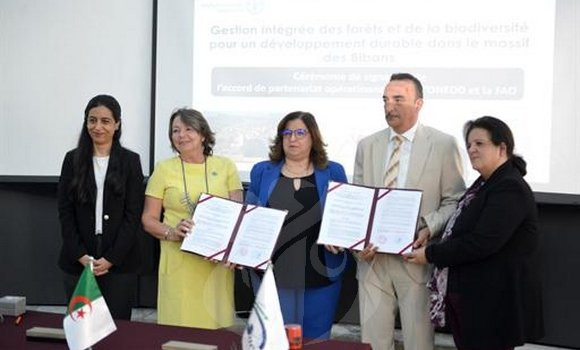 Gestion intégrée des forêts: projet conjoint entre l'ONEDD et la