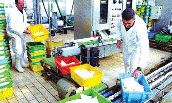 مصنع جديد لإنتاج الحليب بالعاصمة