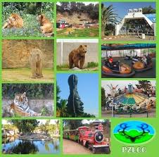 Algerie (Ben Aknoun/Alger) - Le Parc zoologique change de tutelle: Il sera géré par la wilaya