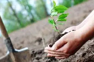 سعيدة  .. افتتاح مصنع لتعبئة المياه المعدنية..