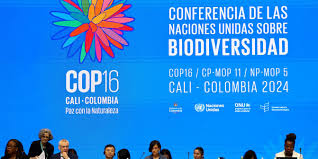 Planète (Colombie/Amérique du Sud) - COP16 sur la biodiversité: une fin «palpitante», promet la présidente de la conférence