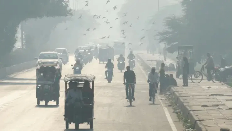 العاصمة الهندية 