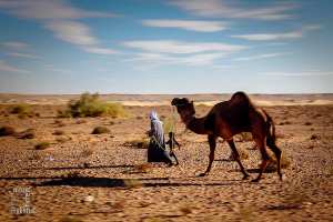 Une image, une histoire (parfois imaginaire...)