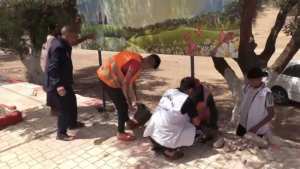 Teghalimet (Sidi Bel Abbès) -  Environnement:   Plus belle et plus propre localité de  la wilaya de la Mekerra