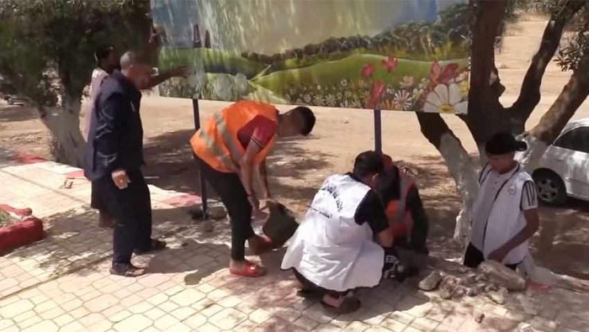 Teghalimet (Sidi Bel Abbès) -  Environnement:   Plus belle et plus propre localité de  la wilaya de la Mekerra