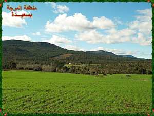 La zone « d’el Mrdja »