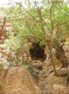 Grotte de Oued Saida