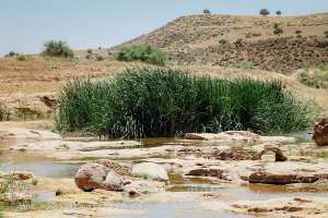 حول وادي هونت، عدة نقاط جغرافية مهمة: