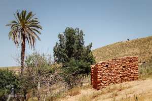 وادي هونة، بلدية هونة، ولاية سعيدة