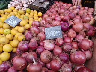 خضعوا لدورة شاملة بعد التوظيف :   حفل توزيع  الشهادات على  الأساتذة  المكونين  بجامعة وهران 2