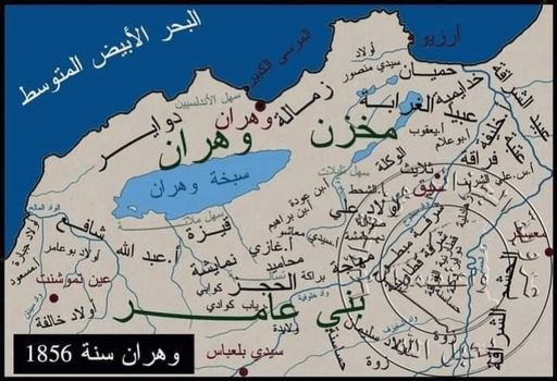 قبائل بنو عامر (فرسان الدولة الزيانية )