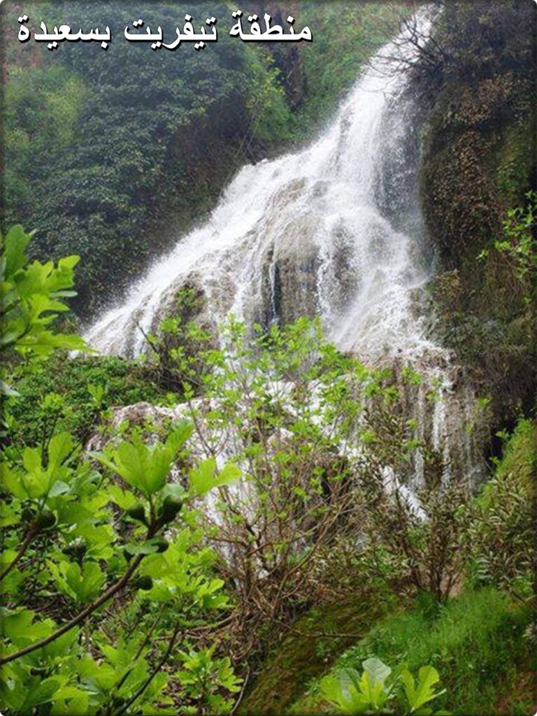 غابة تافرنت