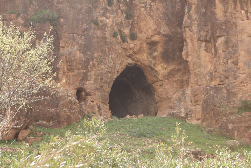 مغارة واد سعيدة