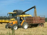 « Un besoin de deux millions de tonnes »                                    Les défis de la céréaliculture algérienne