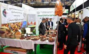 Salon international des dattes: une diversité de variétés au c'ur du terroir algérien