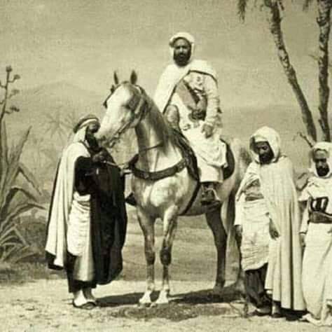 زاوية سيدي البودالي بولاية سعيدة نموذجا