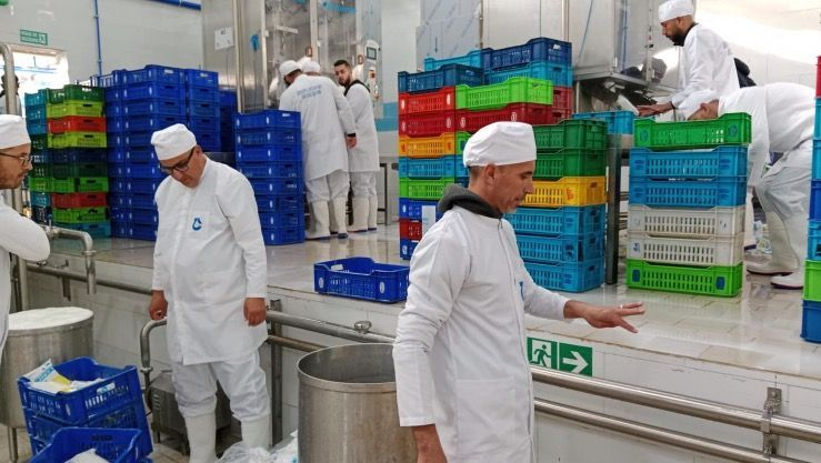 مجمع جيبلي: دخول وحدة لإنتاج الحليب حيز الخدمة بالبويرة