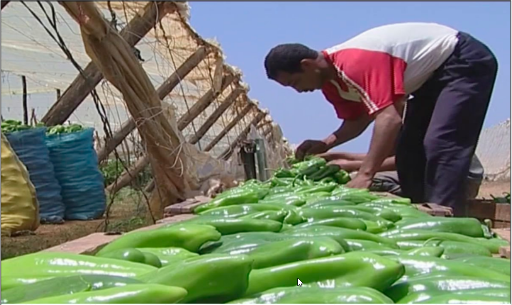 Un projet stratégique pour l'autosuffisance et le développement économique