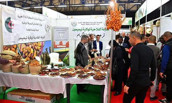 Salon international des dattes: une diversité de variétés au c'ur du terroir algérien