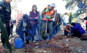 غرس 70 شجرة بصفة رمزية بالجزائر العاصمة تكريما لأصدقاء الثورة الجزائرية