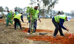 غرس 70 شجرة  رمزياً  في العاصمة