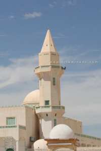 قائمة شهداء و مجاهدين منطقة قمار ولاية الوادي