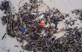 Planète - En 2060, «on va vers un monde invivable puisque les plastiques détruisent notre cadre de vie», alerte Tara Océan