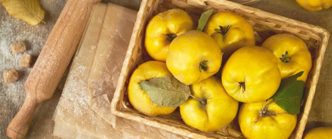 الاحتفاء بعراقة مليانة في مهرجان السفرجل لعام 2024