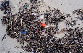 Planète - En 2060, «on va vers un monde invivable puisque les plastiques détruisent notre cadre de vie», alerte Tara Océan