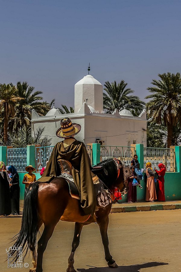 ركب سيدي الشيخ: احتفال روحي وثقافي فريد