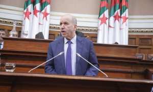 Cancer:  Saihi met en avant les efforts de l'Etat pour fournir des structures de santé spécialisées