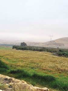 Algérie (Oued el Kheir/Mostaganem) - Le barrage du Chéliff est complètement asséché