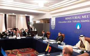 L'Algérie exprime sa volonté de renforcer la coopération entre les membres du GECF