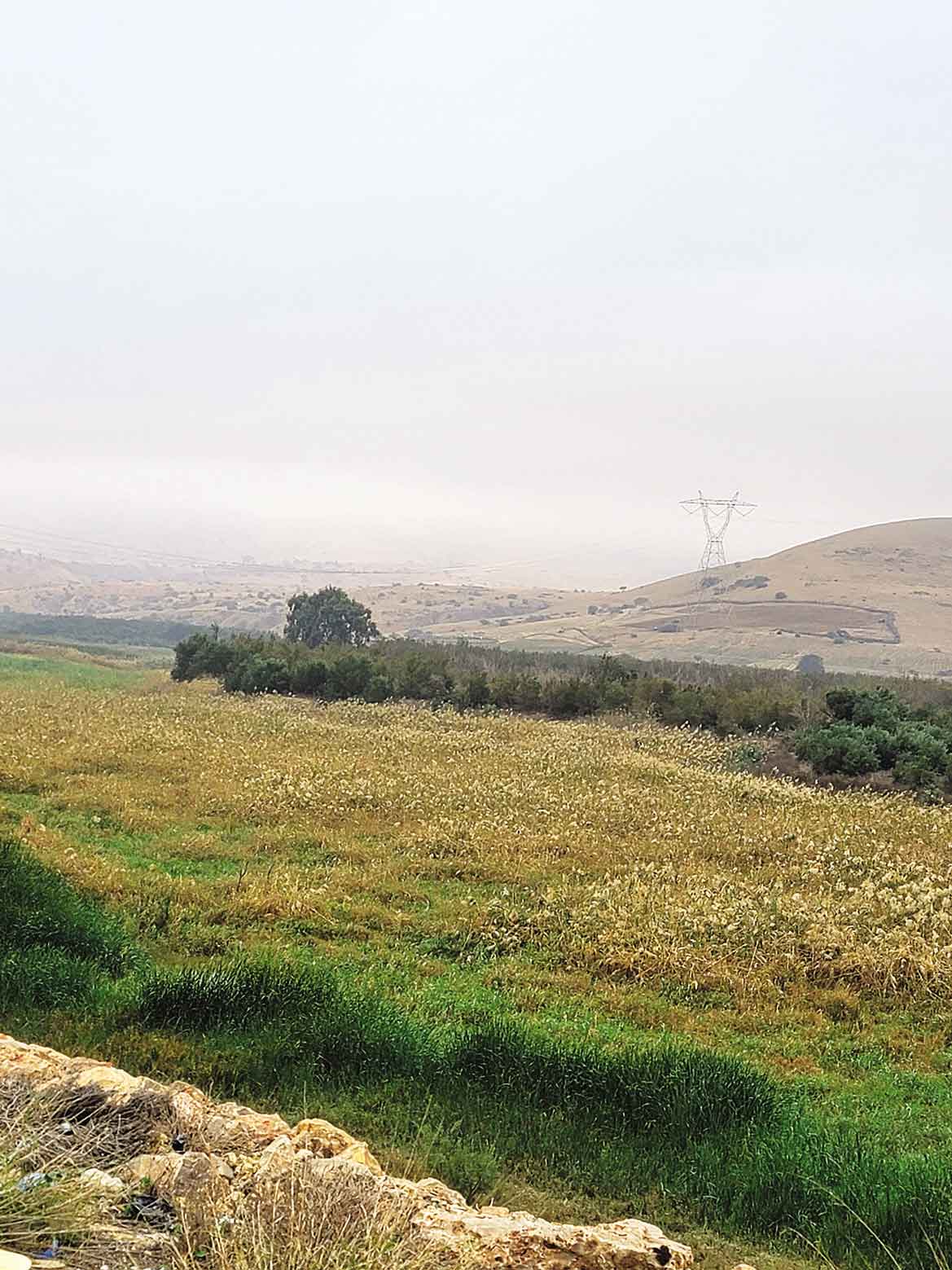 Algérie (Oued el Kheir/Mostaganem) - Le barrage du Chéliff est complètement asséché