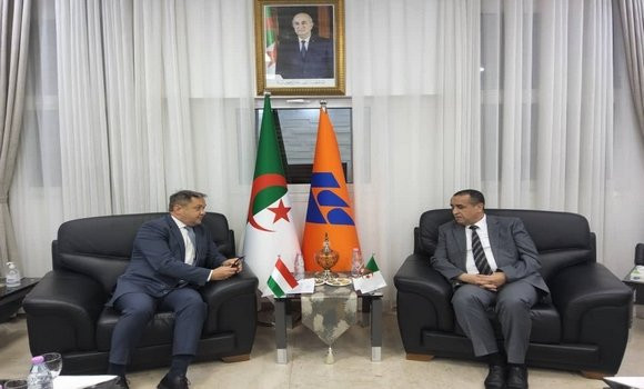 Energie: les voies et moyens de la coopération entre Sonelgaz et les sociétés hongroies examinés