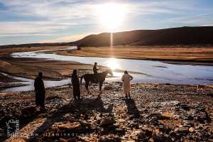 فتى صغير على ظهر حصان، حارس يقظ للمكان