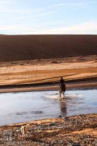 مرسول على ظهر حصان أرسله والده لحراسة برج خنق آزير