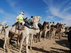 Après plusieurs années d’absence: la course des chameaux est de retour à Tamanrasset