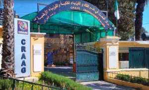 شلف: هزة أرضية بشدة 9 ر4 درجات على سلم ريشتر