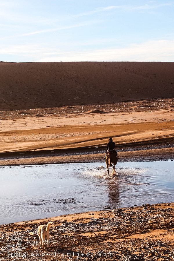 مرسول على ظهر حصان أرسله والده لحراسة برج خنق آزير