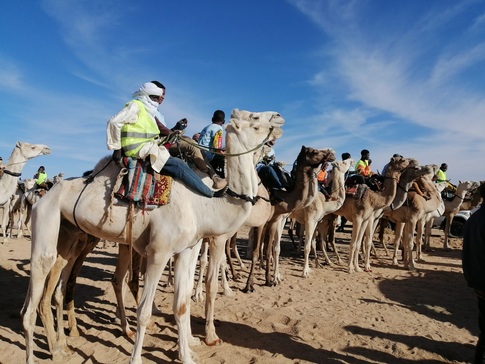 Après plusieurs années d’absence: la course des chameaux est de retour à Tamanrasset